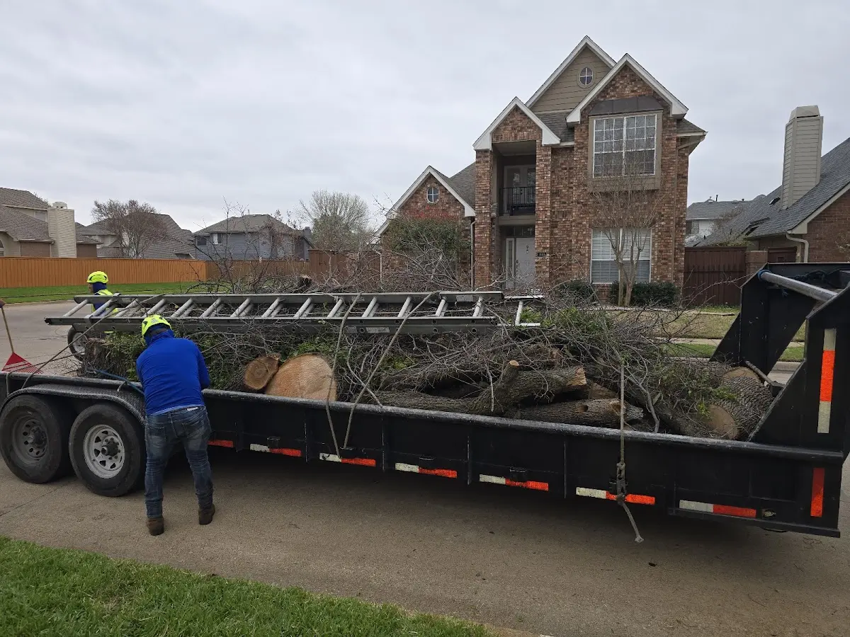 Expert Tree Fertilization with proper safety equipment in Lowpoint